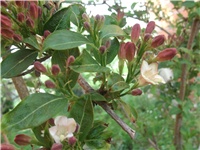 e782b54c-Picture 011.jpg